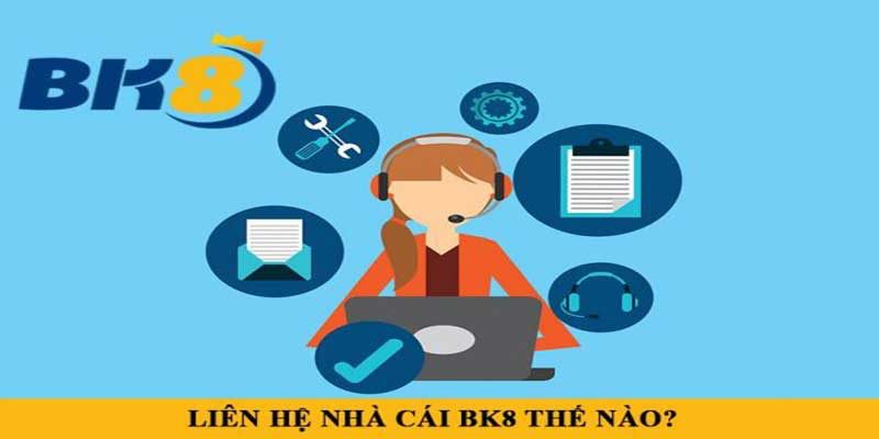 Liên Hệ BK8 - Cách Thức Liên Lạc Với Nhà Cái Uy Tín Nhất - Spinharbor