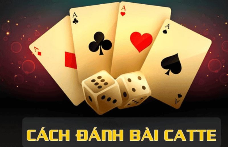 Cách Đánh Catte Online Hay Nhất 2026 Không Nên Bỏ Lỡ - Spinharbor