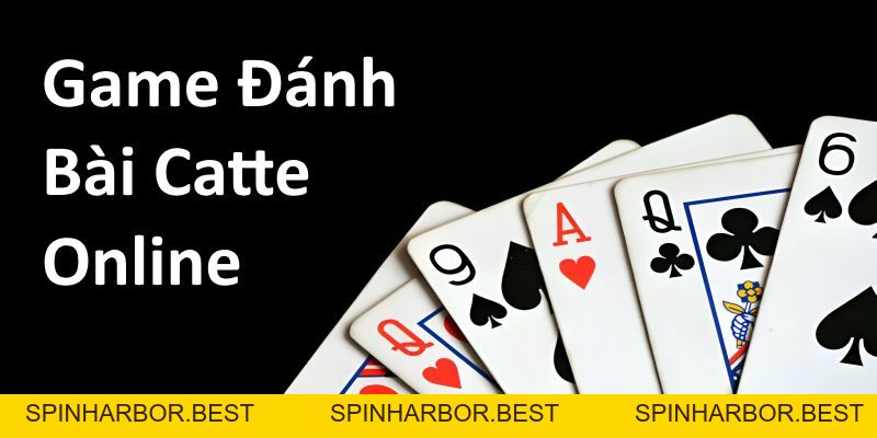 Cách Đánh Catte Online Hay Nhất 2026 Không Nên Bỏ Lỡ - Spinharbor