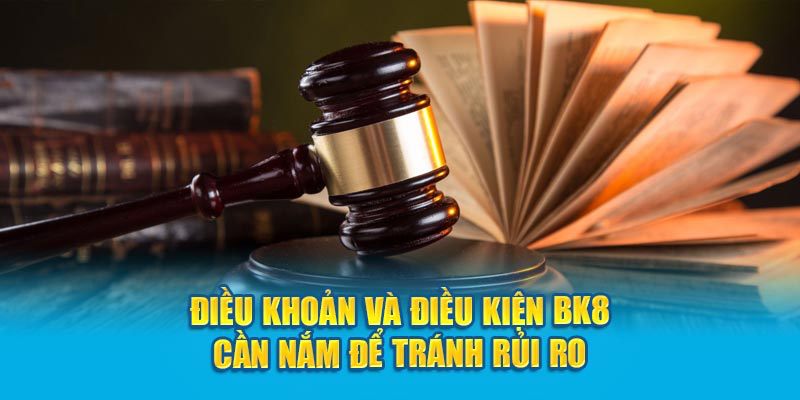 Điều Khoản Và Điều Kiện Cơ Bản Khi Đến Với Sân Chơi Bk8 - Spinharbor