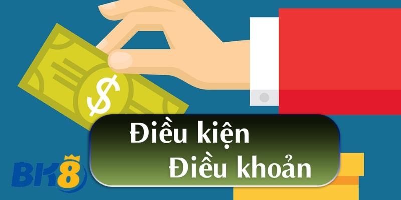 Điều Khoản Và Điều Kiện Cơ Bản Khi Đến Với Sân Chơi Bk8 - Spinharbor