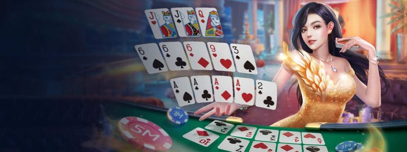 Hướng Dẫn Chơi Mậu Binh Online Tại BK8 Cho Người Mới - Spinharbor