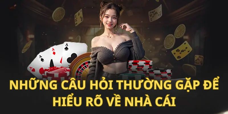 Những Câu Hỏi Thường Gặp Khi Tham Gia Nhà Cái BK8 Cho Cược Thủ - Spinharbor