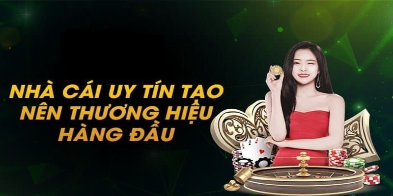 Về Chúng Tôi - Nhà Cái Bk8 Uy Tín Chất Lượng Trên Thị Trường - Spinharbor