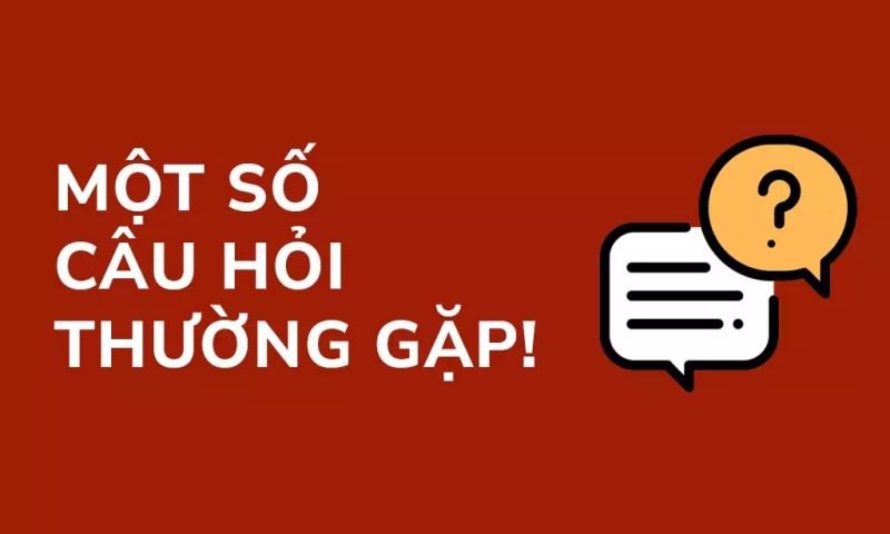 Những Câu Hỏi Thường Gặp Khi Tham Gia Nhà Cái BK8 Cho Cược Thủ - Spinharbor