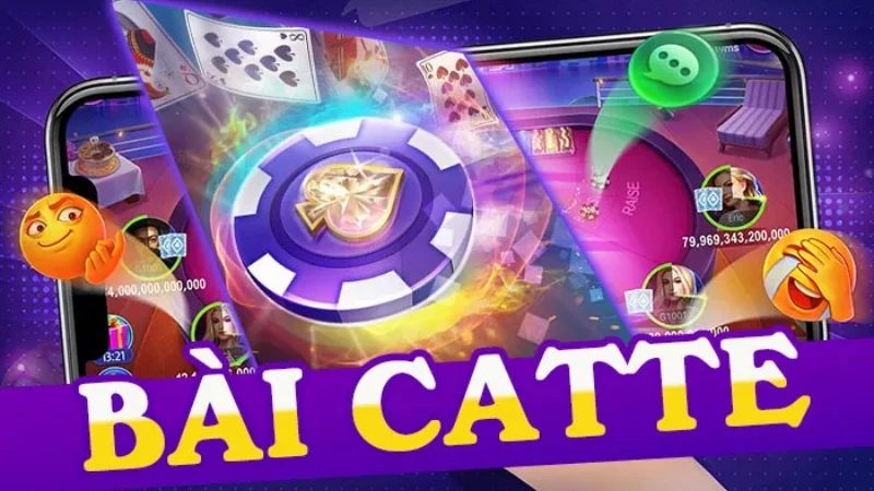 Cách Đánh Catte Online Hay Nhất 2026 Không Nên Bỏ Lỡ - Spinharbor